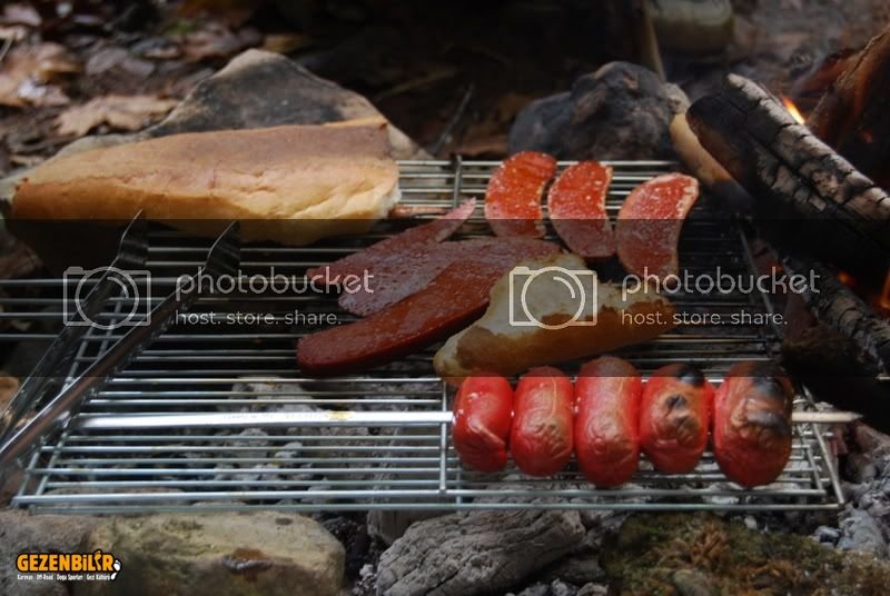 DSC_0264.jpg