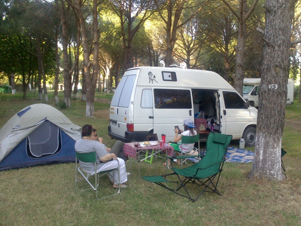 DSC_0267.jpg