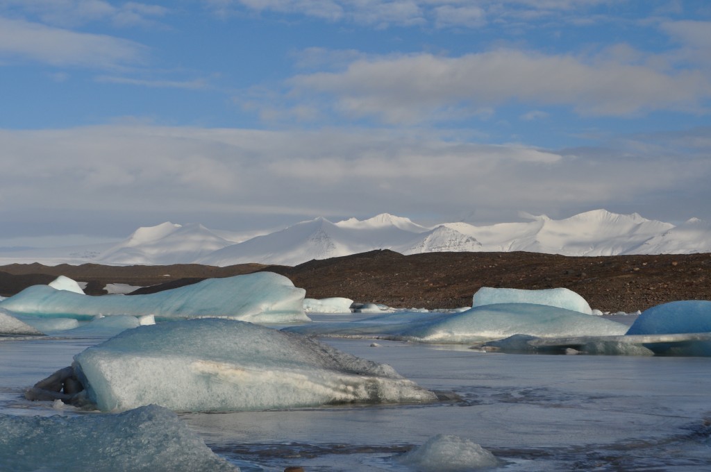 DSC_0267.JPG