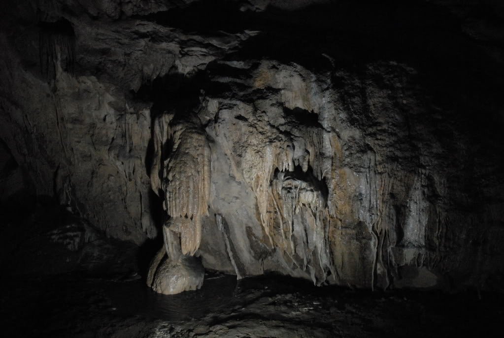 DSC_0270.jpg