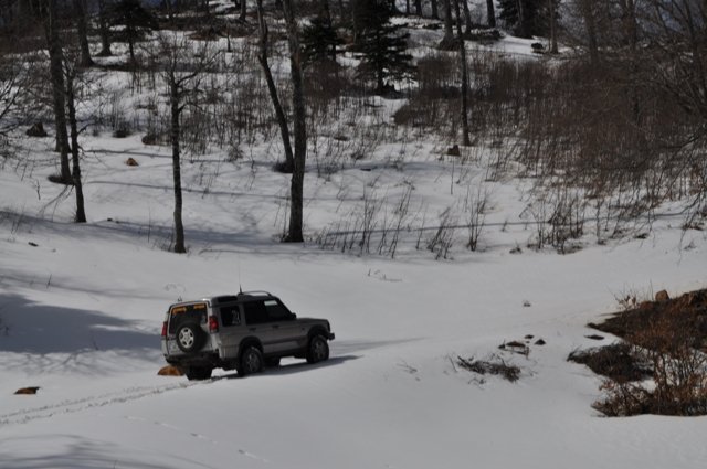 DSC_0276.jpg