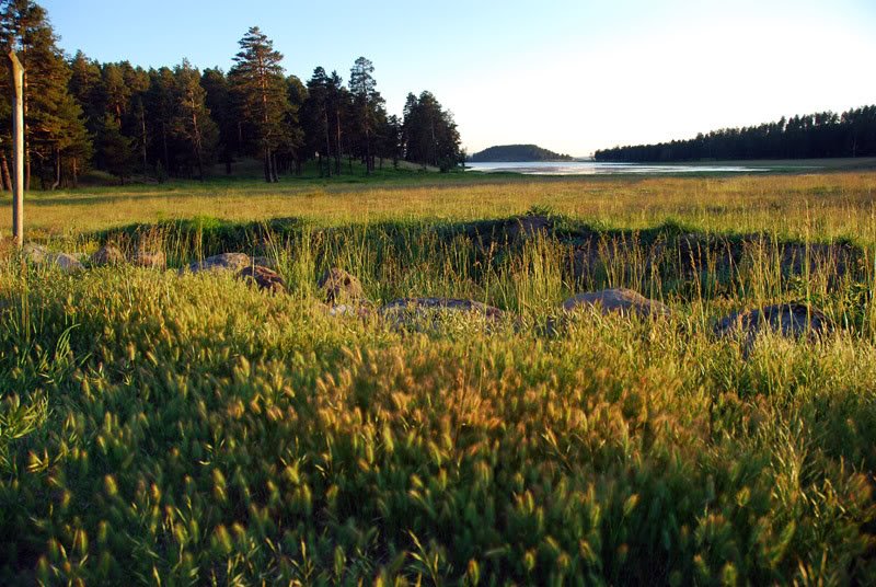 DSC_0278.jpg