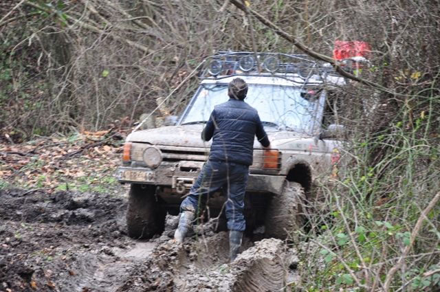 DSC_0279.jpg