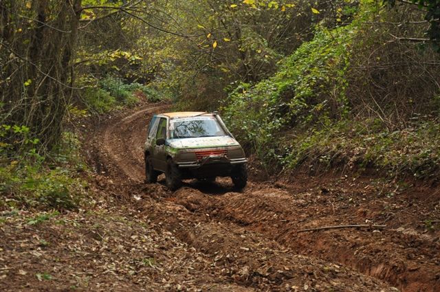 DSC_0284.jpg