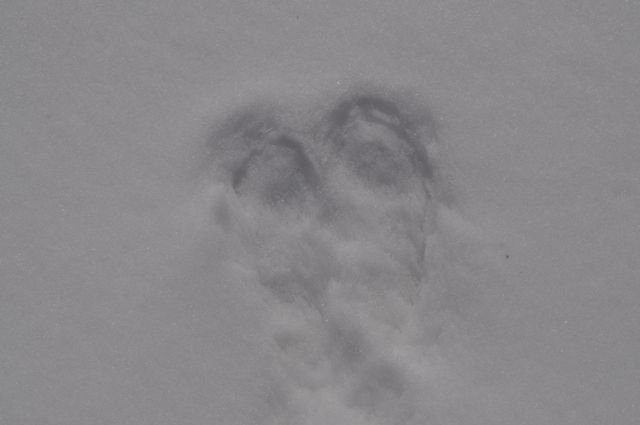 DSC_0285.jpg