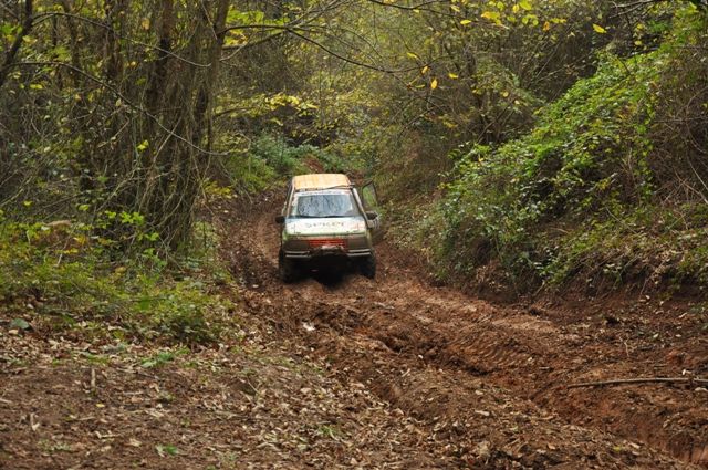 DSC_0286.jpg