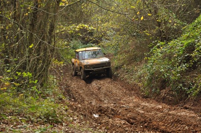 DSC_0306.jpg