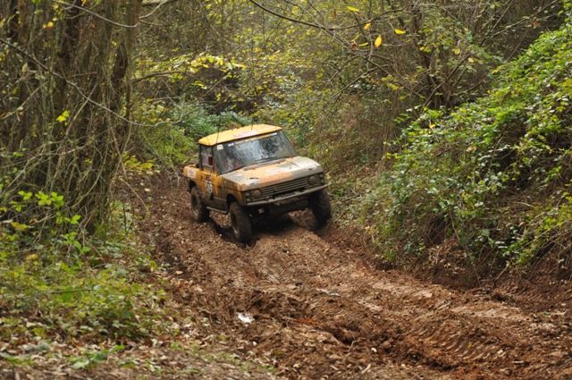 DSC_0307.jpg
