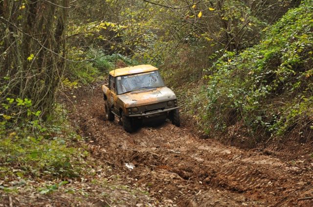 DSC_0308.jpg