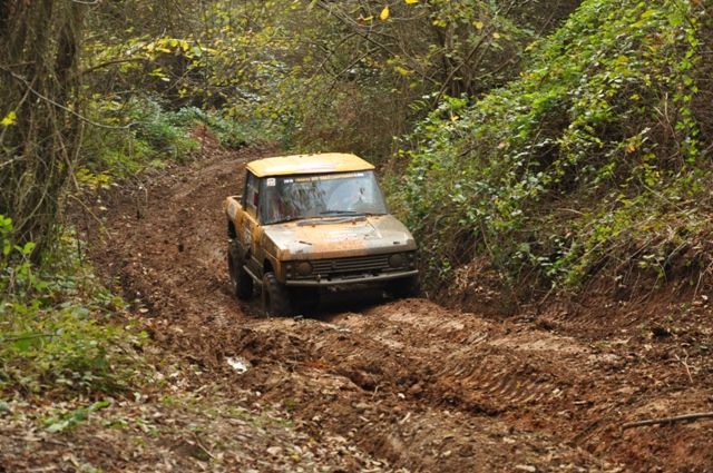 DSC_0309.jpg