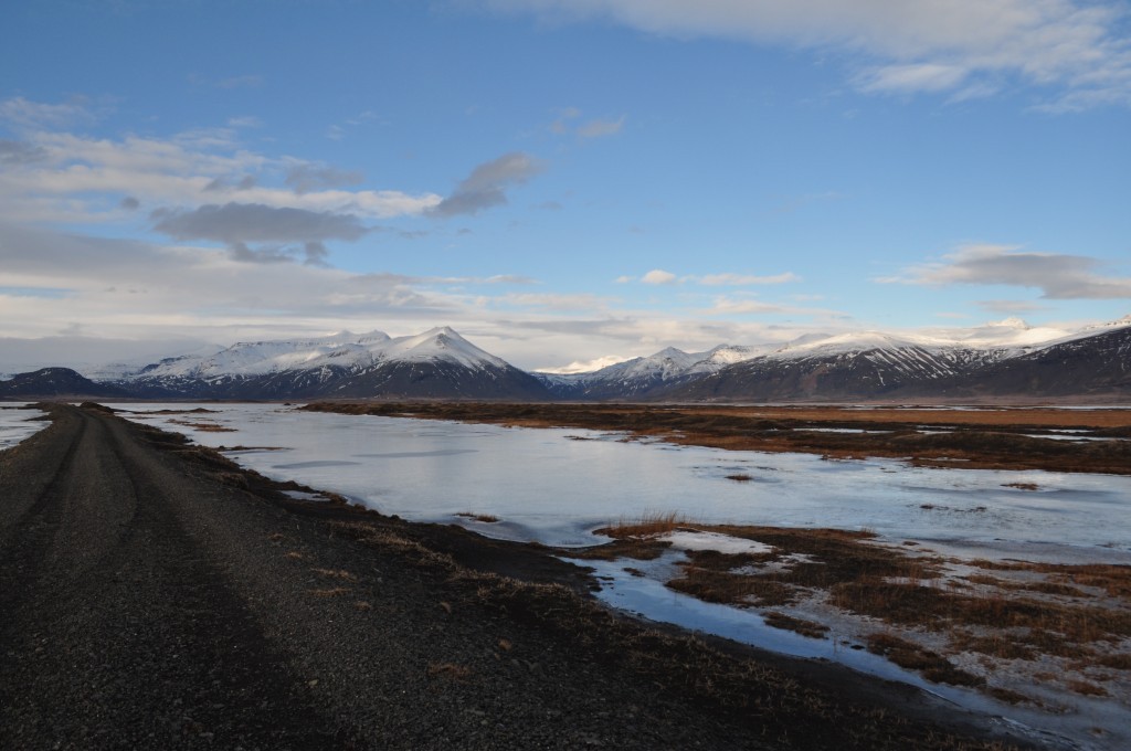 DSC_0309.JPG