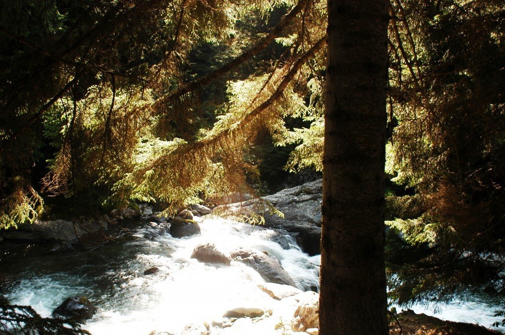 DSC_0312.jpg