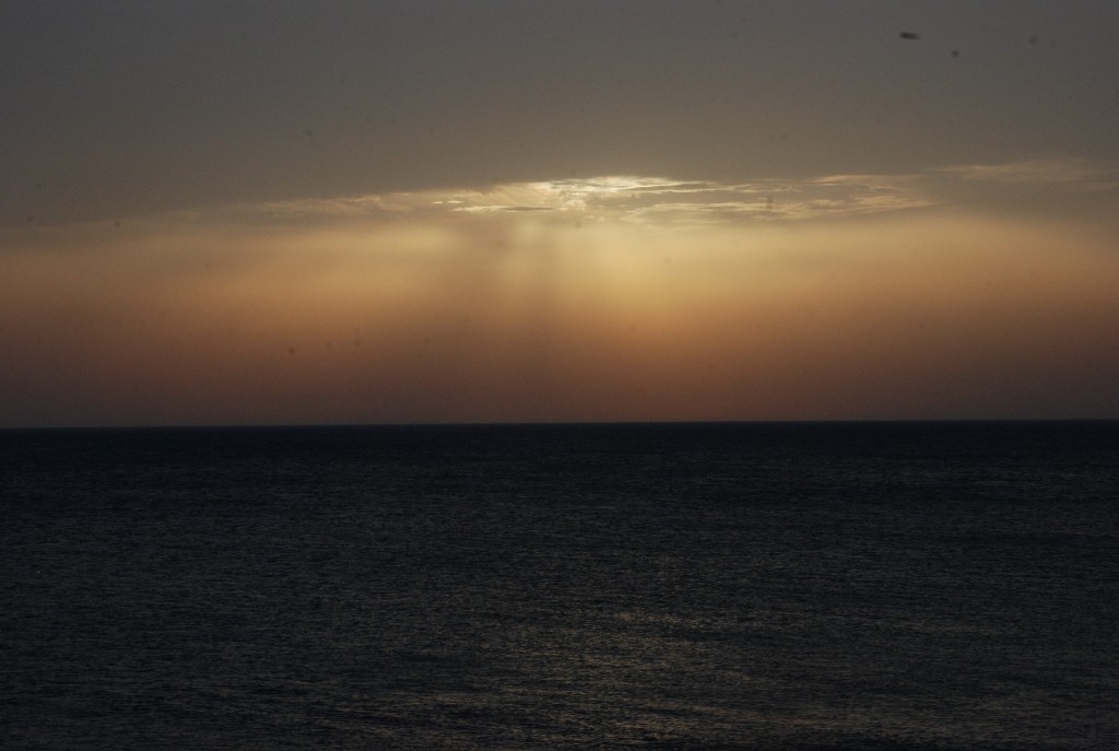 DSC_0313.JPG