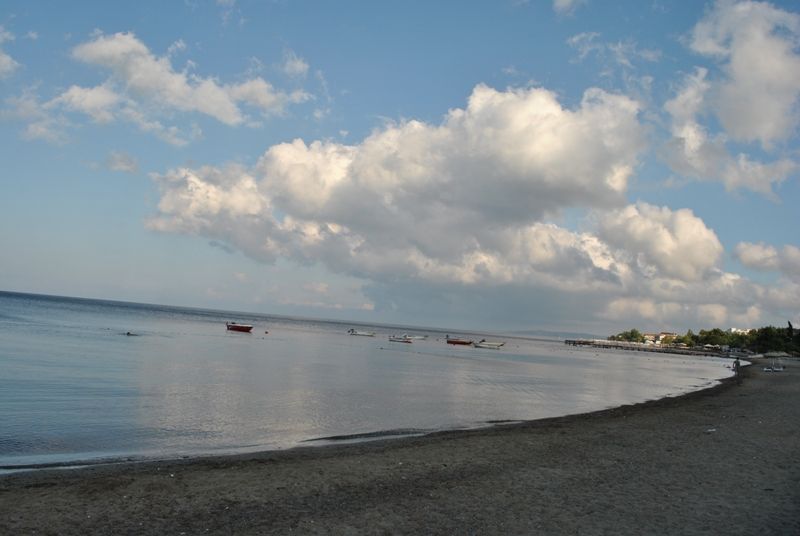 DSC_0314.jpg