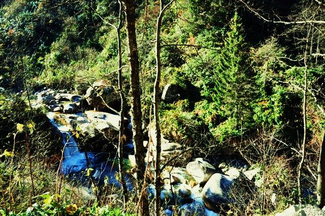 DSC_0314.jpg