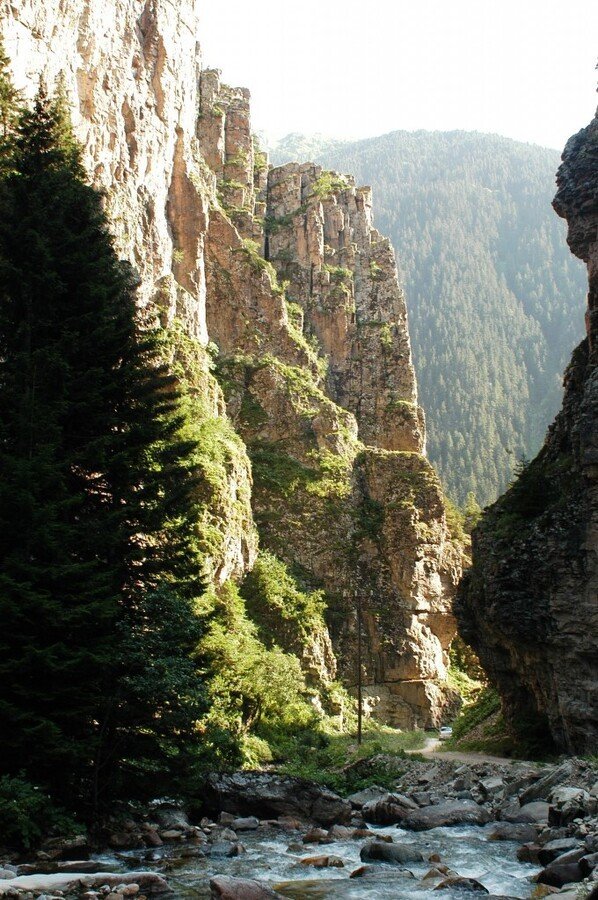 DSC_0314.jpg