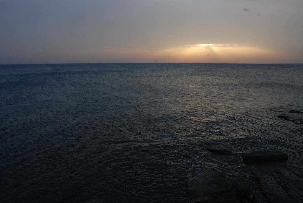 DSC_0316.JPG