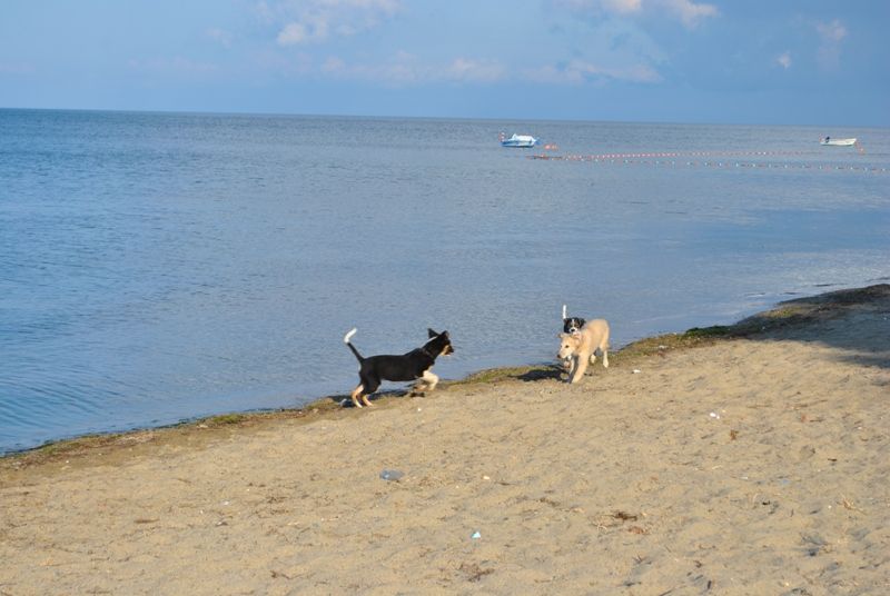 DSC_0318.jpg
