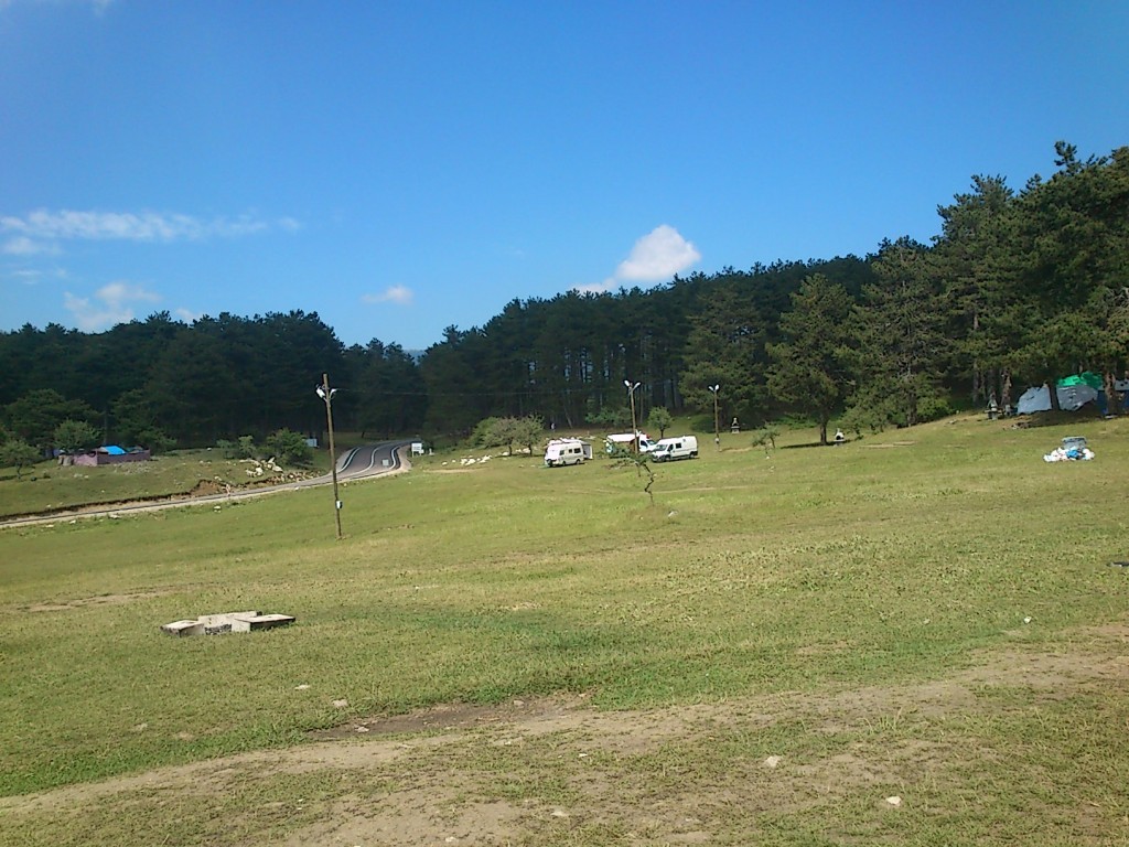 DSC_0321.JPG