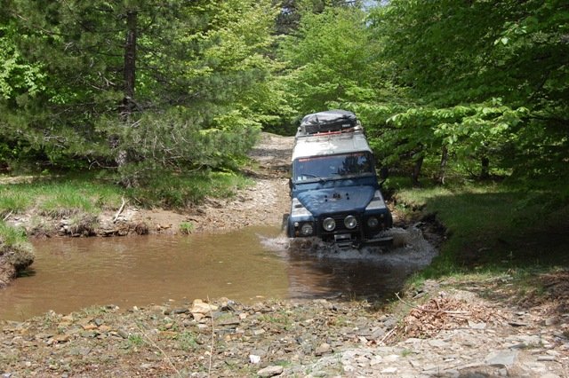 DSC_0323.jpg
