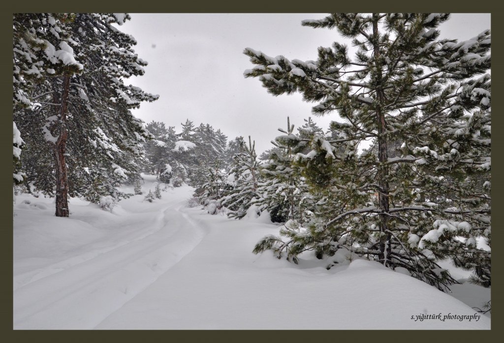 DSC_0332.jpg