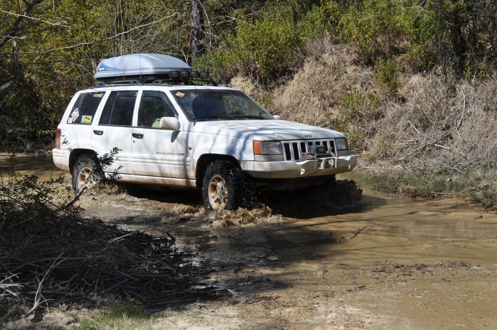 DSC_0336.JPG