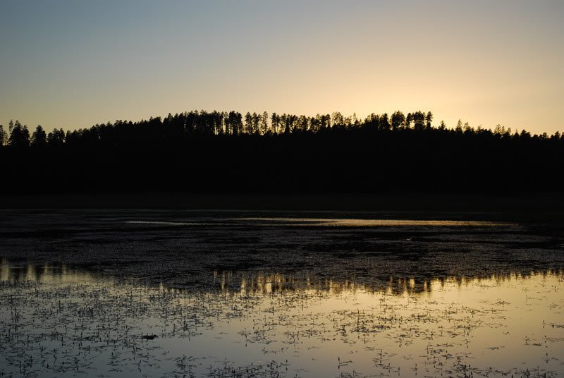 DSC_0340.jpg