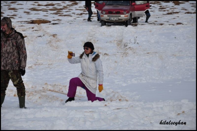 DSC_0342 [800x600].jpg