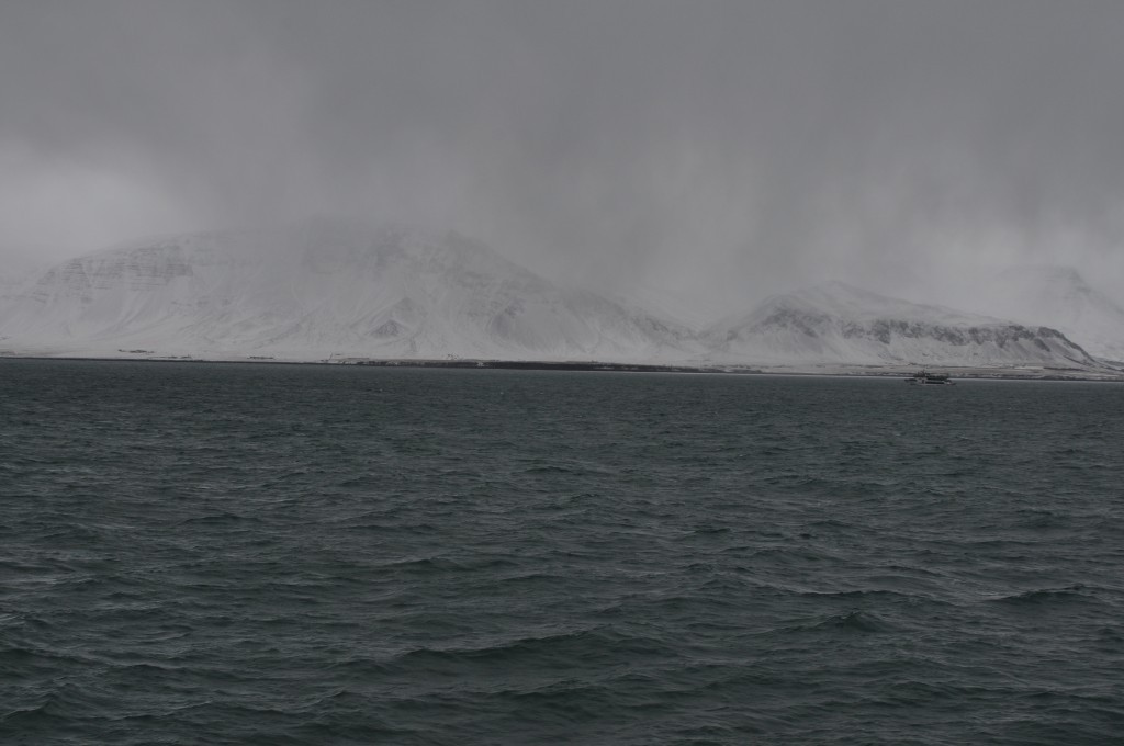 DSC_0343.JPG