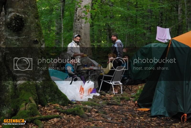 DSC_0345.jpg