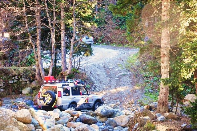 DSC_0350.jpg
