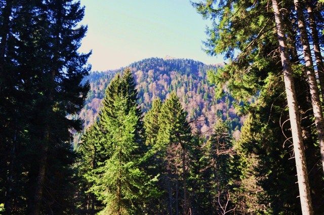 DSC_0358.jpg