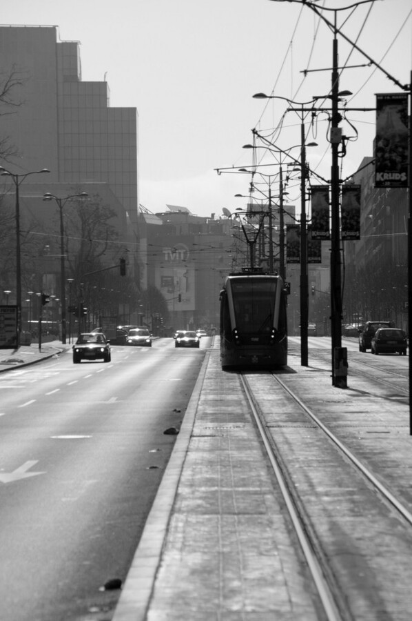 DSC_0359 (2)-001.JPG