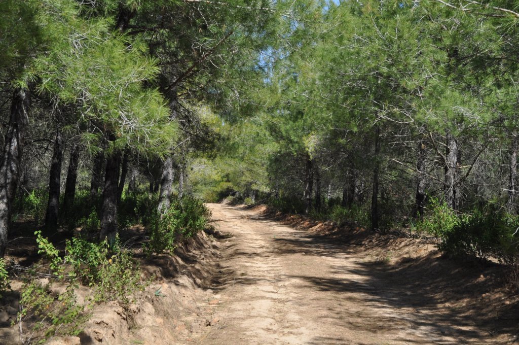 DSC_0364.JPG