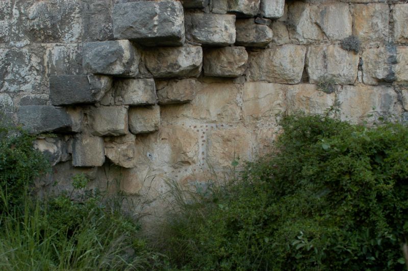 DSC_0387.jpg