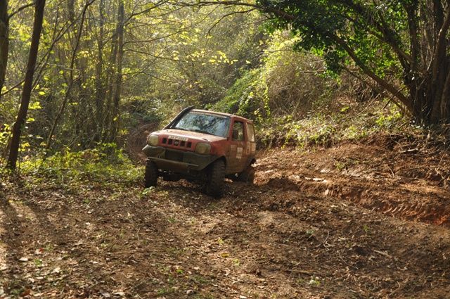 DSC_0397.jpg