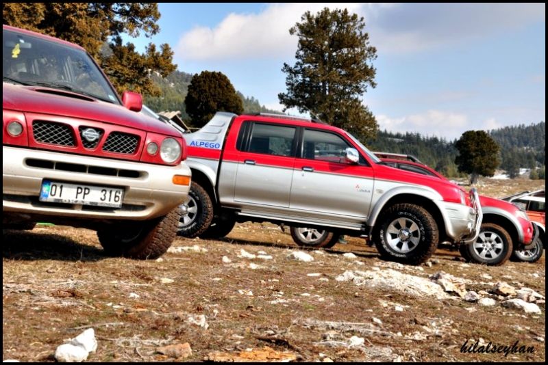 DSC_0402 [800x600].jpg