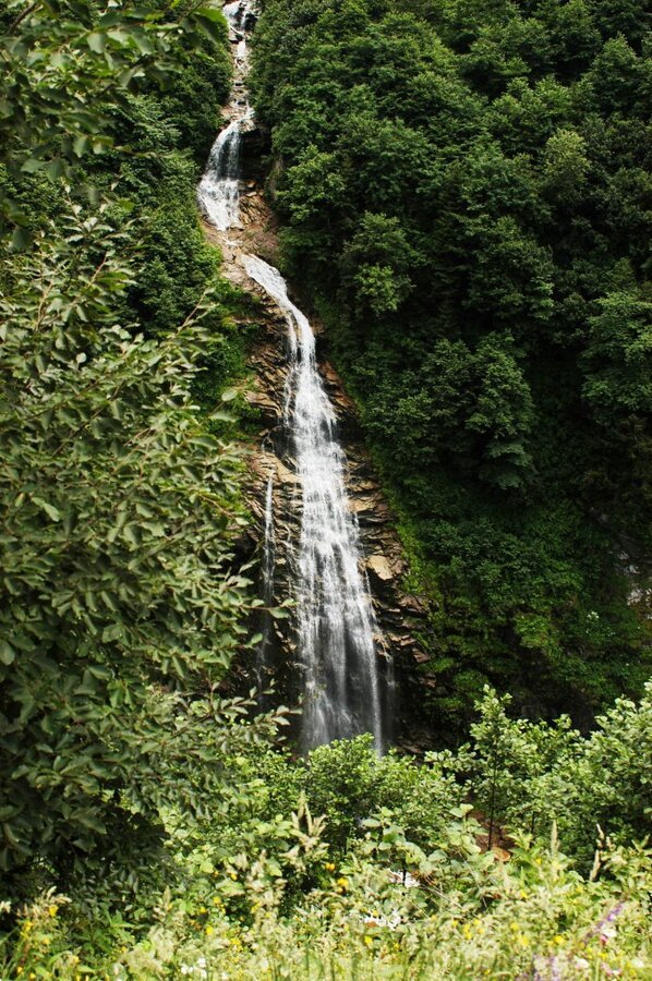 DSC_0408.jpg