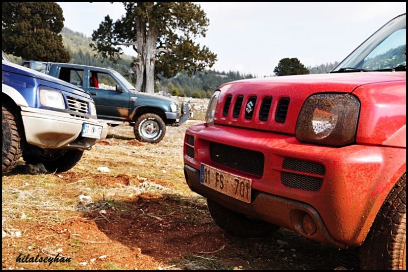 DSC_0411 [800x600].jpg