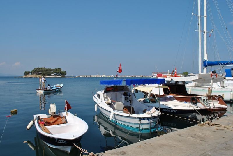 DSC_0433.jpg
