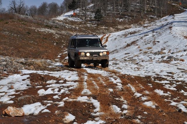 DSC_0441.jpg