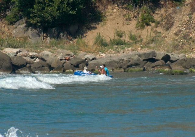 DSC_0445.jpg