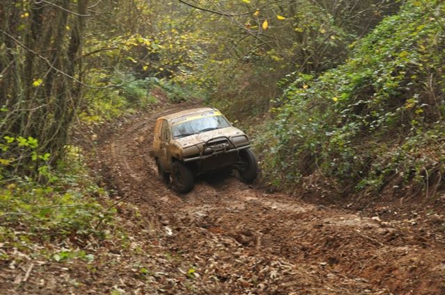 DSC_0445.jpg