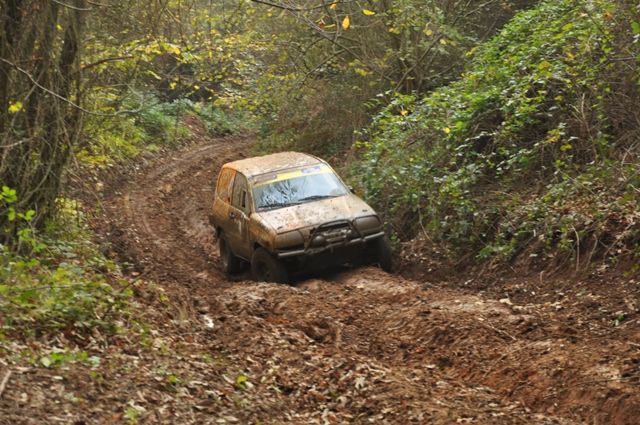 DSC_0446.jpg