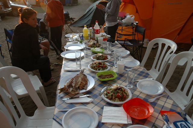 DSC_0462.jpg