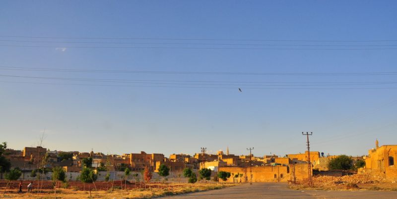 DSC_0465.jpg