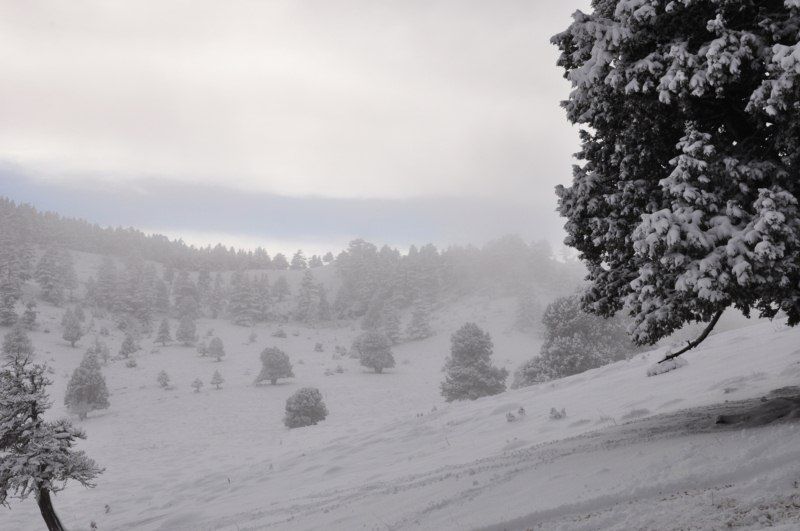 DSC_0472 [800x600].jpg