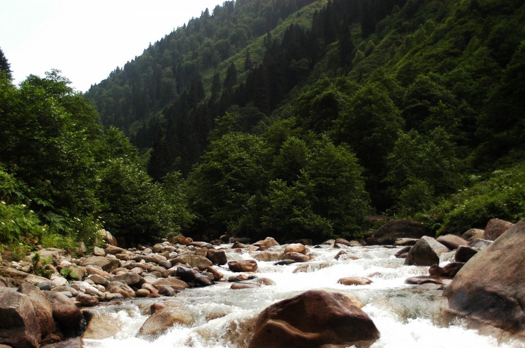 DSC_0492.jpg