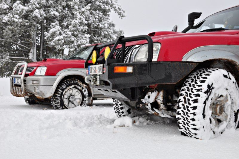 DSC_0499 [800x600].jpg