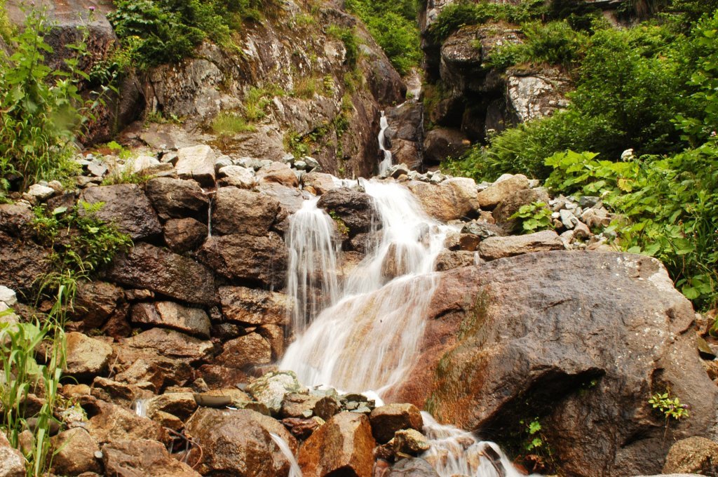 DSC_0499.jpg